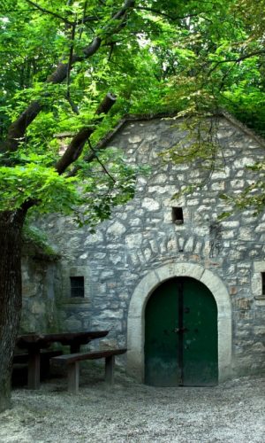 Polgár-Bednár Pince