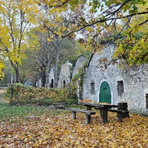 Simon Családi Pincészet